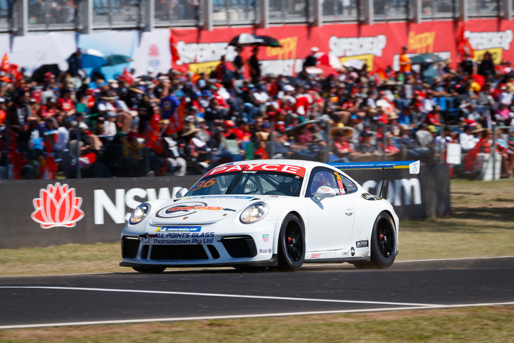 Cooper Murray with McElrea Racing in the Porsche Carrera Cup at Bathurst